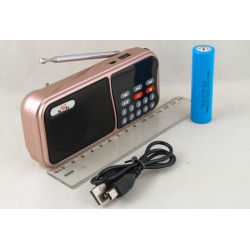 Радиоприёмник KH-Y23 (FM) золот. USB, SD аккум.18650, шнур miniUSB