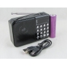 Радиоприёмник C-3 (FM) USB, TF аккум.18650, шнур miniUSB черный