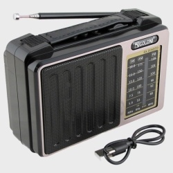 Радиоприёмник RX-806BTD GOLON (FM,AM,SW1-7) встроен. аккум., 2R20, шнур microUSB, Bluetooth ??