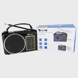 Радиоприёмник RX-807BTD (FM, AM, SW аккумулятор 18650, шнур TYPE-C) USB, TF, Bluetooth, с подсветкой Радиоприёмник RX-807BTD (FM, AM, SW аккумулятор 18650, шнур TYPE-C) USB, TF, Bluetooth, с подсветкой